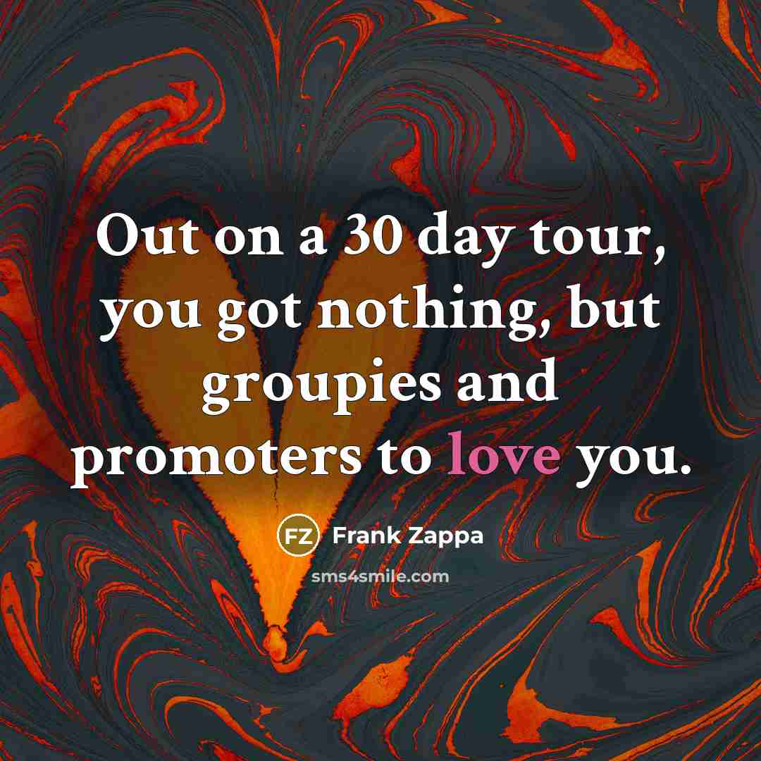 “Out on a 30 day tour, you got nothing, but…” quote by Frank Zappa