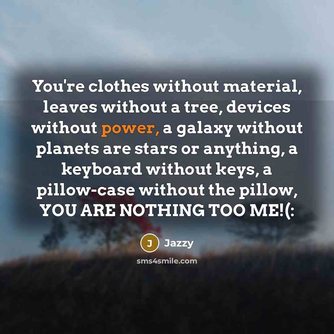 “You're clothes without material, leaves without a tree, devices without power, a galaxy without planets are stars or anything, a keyboard without keys, a pillow-case without the pillow, YOU ARE NOTHING TOO ME!(:” quote by Jazzy