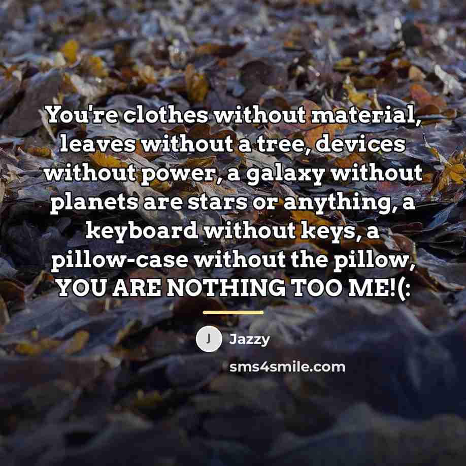 “You're clothes without material, leaves without a tree, devices without…” quote by Jazzy