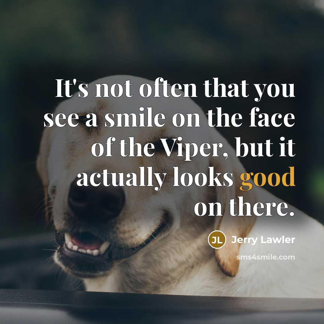 “It's not often that you see a smile on the…” quote by Jerry Lawler