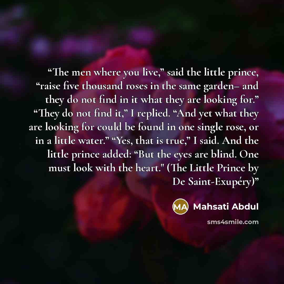 “The men where you live,” said the little prince, “raise five thousand roses in the same garden– and they do not find in it what they are looking for.” “They do not find it,” I replied. “And yet what they are looking for could be found in one single rose, or in a little water.” “Yes, that is true,”…” quote by Mahsati Abdul