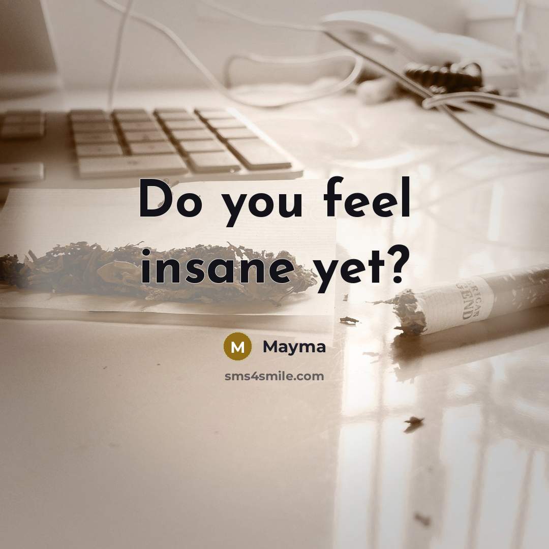 “Do you feel insane yet?” quote by Mayma