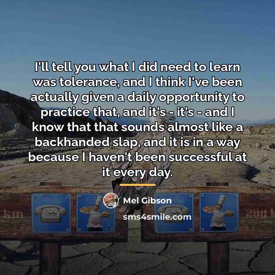 “I'll tell you what I did need to learn was…” quote by Mel Gibson