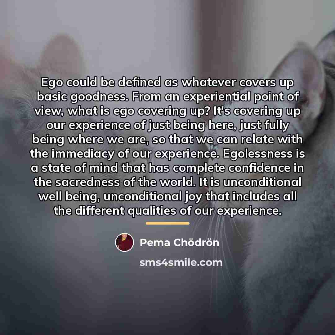“Ego could be defined as whatever covers up basic goodness.…” quote by Pema Chodron