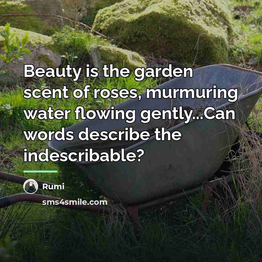 “Beauty is the garden scent of roses, murmuring water flowing…” quote by Rumi