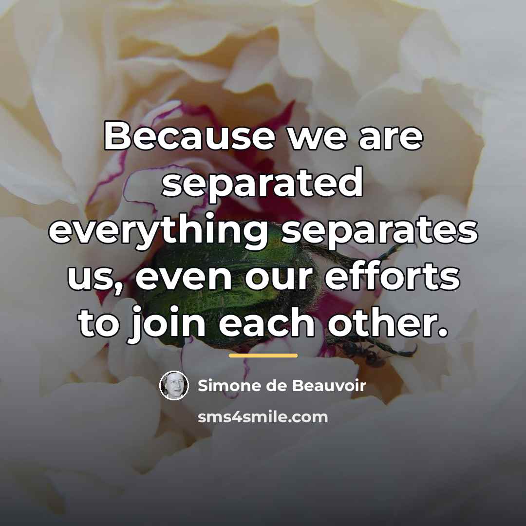 “Because we are separated everything separates us, even our efforts…” quote by Simone de Beauvoir