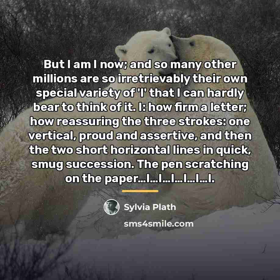 “But I am I now; and so many other millions…” quote by Sylvia Plath