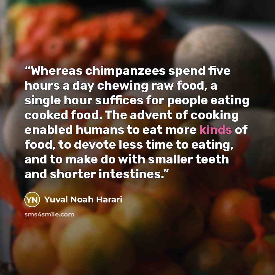 “Whereas chimpanzees spend five hours a day chewing raw food, a single hour suffices for people eating cooked food. The advent of cooking enabled humans to eat more kinds of food, to devote less time to eating, and to make do with smaller teeth and shorter intestines.” quote by Yuval Noah Harari