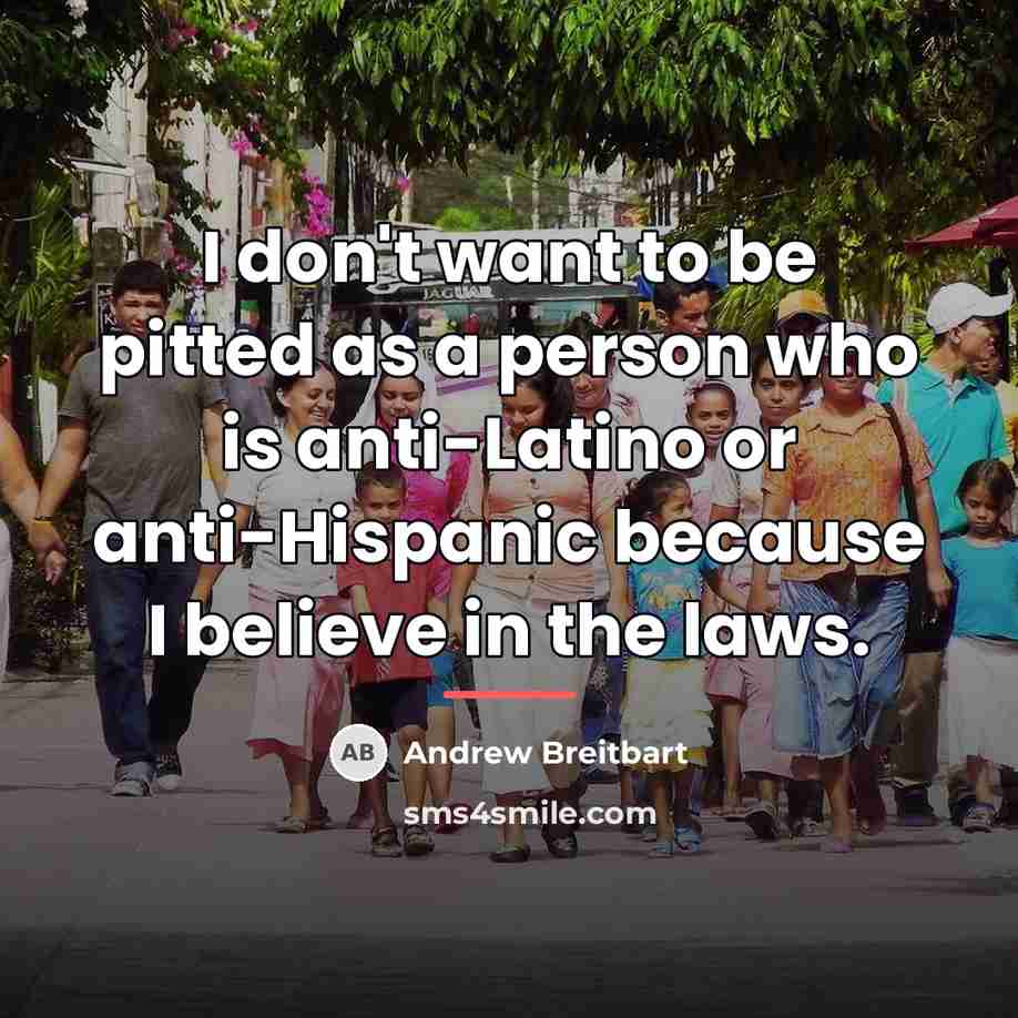 “I don't want to be pitted as a person who…” quote by Andrew Breitbart