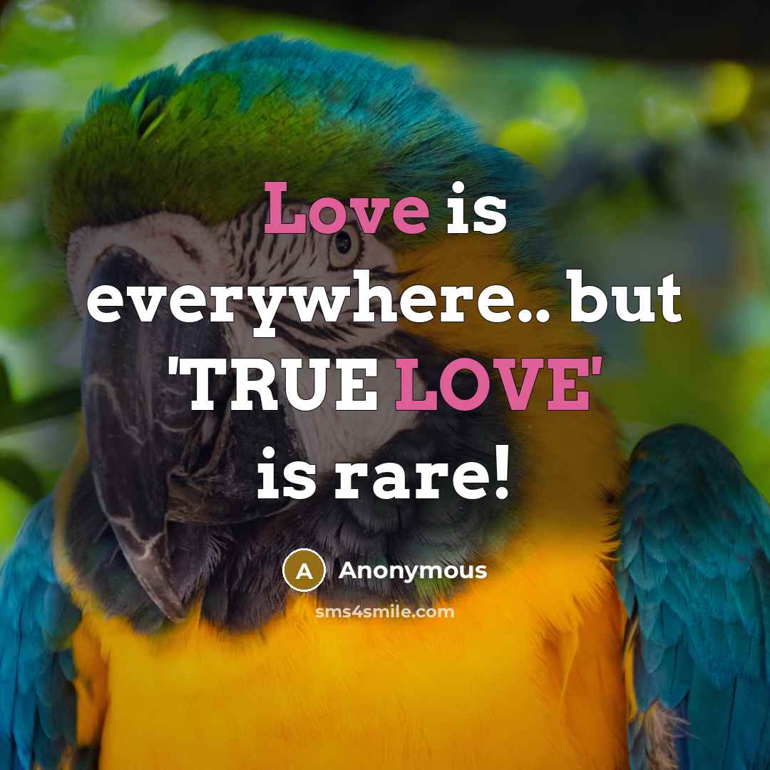 “Love is everywhere.. but 'TRUE LOVE' is rare!…” quote by Anonymous