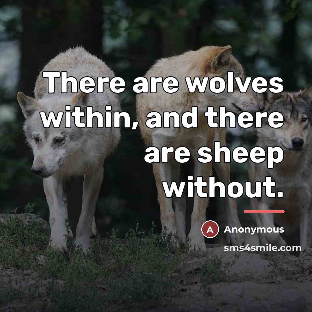 “There are wolves within, and there are sheep without.…” quote by Anonymous