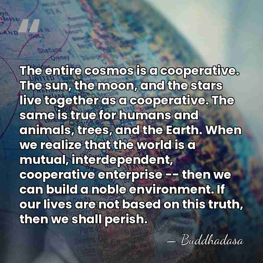 The entire cosmos is a cooperative. The sun, the moon, and the&hellip; - Buddhadasa