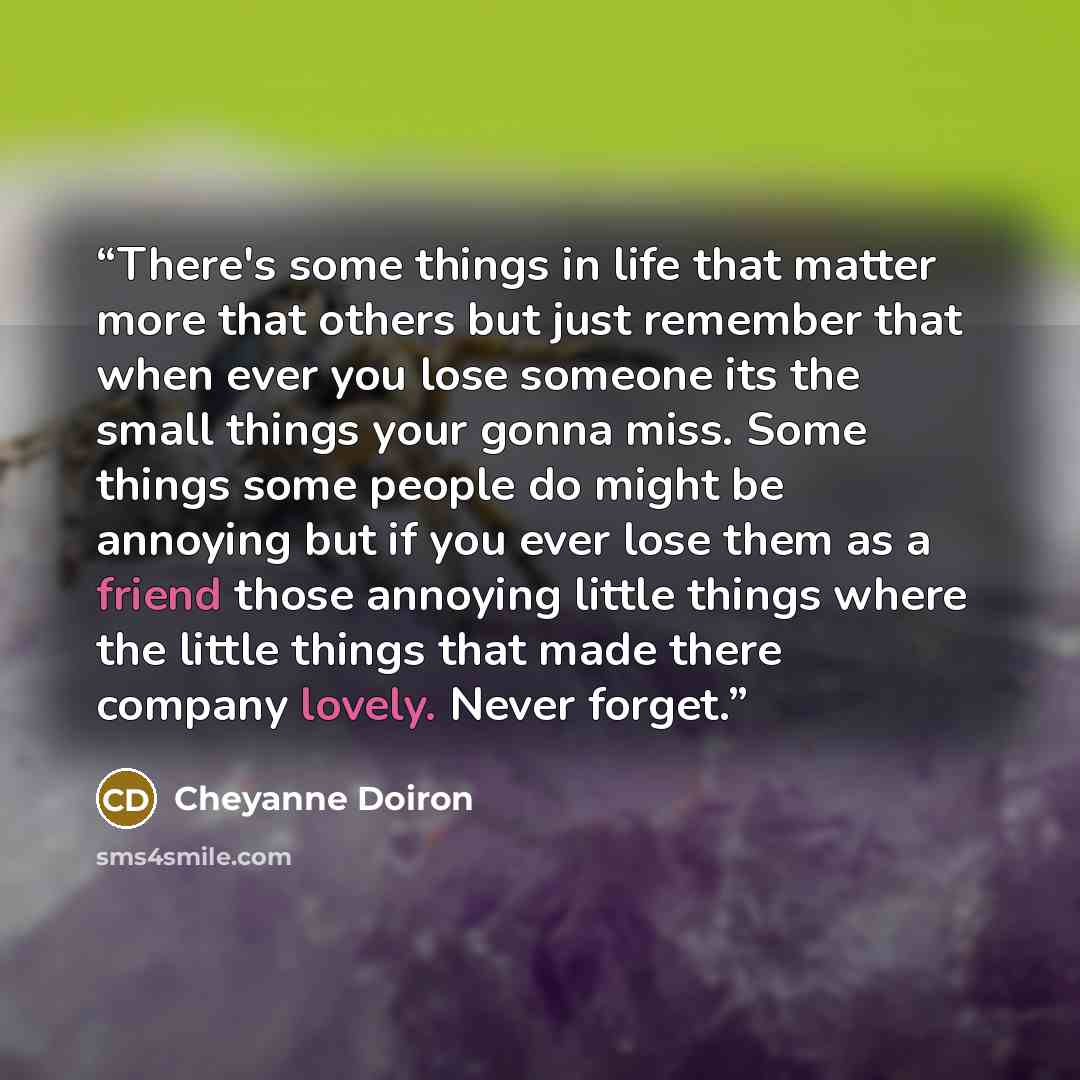 “There's some things in life that matter more that others but just remember that when ever you lose someone its the small things your gonna miss. Some things some people do might be annoying but if you ever lose them as a friend those annoying little things where the little things that made there…” quote by Cheyanne Doiron
