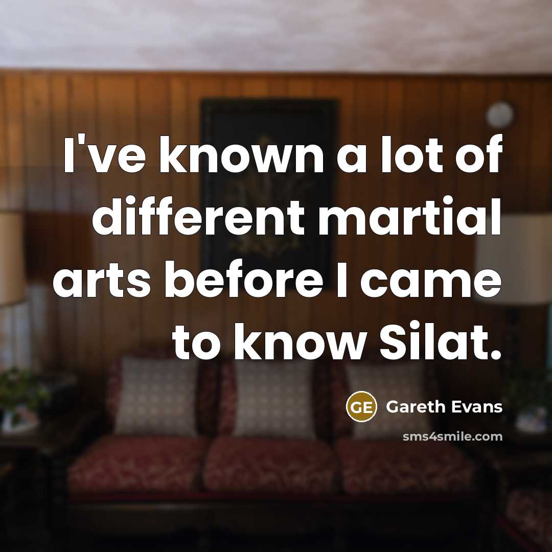 “I've known a lot of different martial arts before I…” quote by Gareth Evans