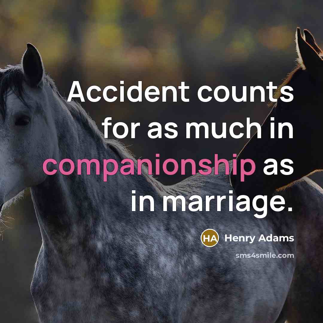“Accident counts for as much in companionship as in marriage.…” quote by Henry Adams
