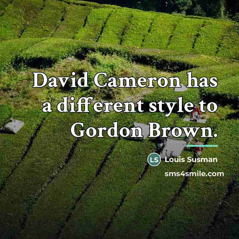“David Cameron has a different style to Gordon Brown.…” quote by Louis Susman
