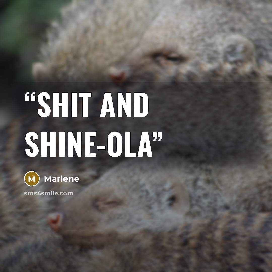 “shit and shine-ola” quote by Marlene