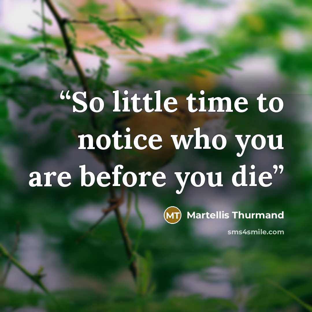 “So little time to notice who you are before you die” quote by Martellis Thurmand