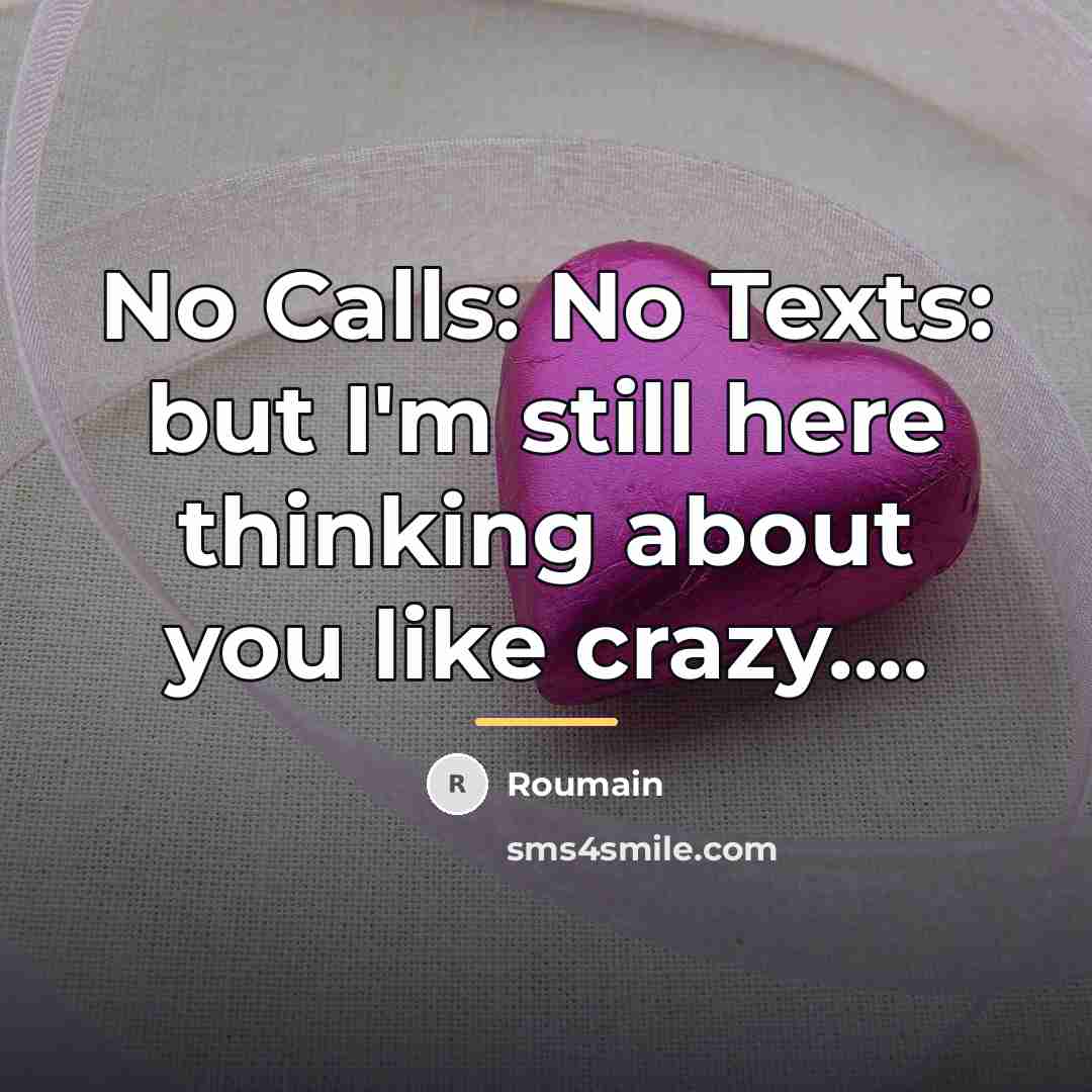 “No Calls: No Texts: but I'm still here thinking about…” quote by Roumain