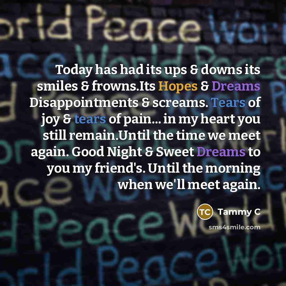 “Today has had its ups & downs its smiles & frowns.Its Hopes & Dreams Disappointments & screams. Tears of joy & tears of pain... in my heart you still remain.Until the time we meet again. Good Night & Sweet Dreams to you my friend's. Until the morning when we'll meet again.” quote by Tammy C