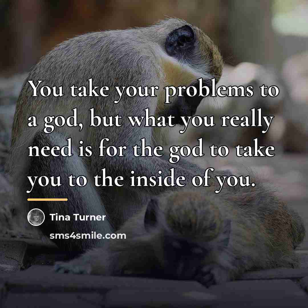 “You take your problems to a god, but what you…” quote by Tina Turner