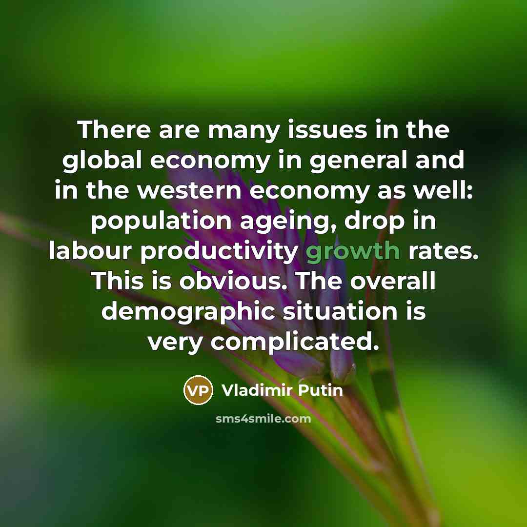 “There are many issues in the global economy in general…” quote by Vladimir Putin