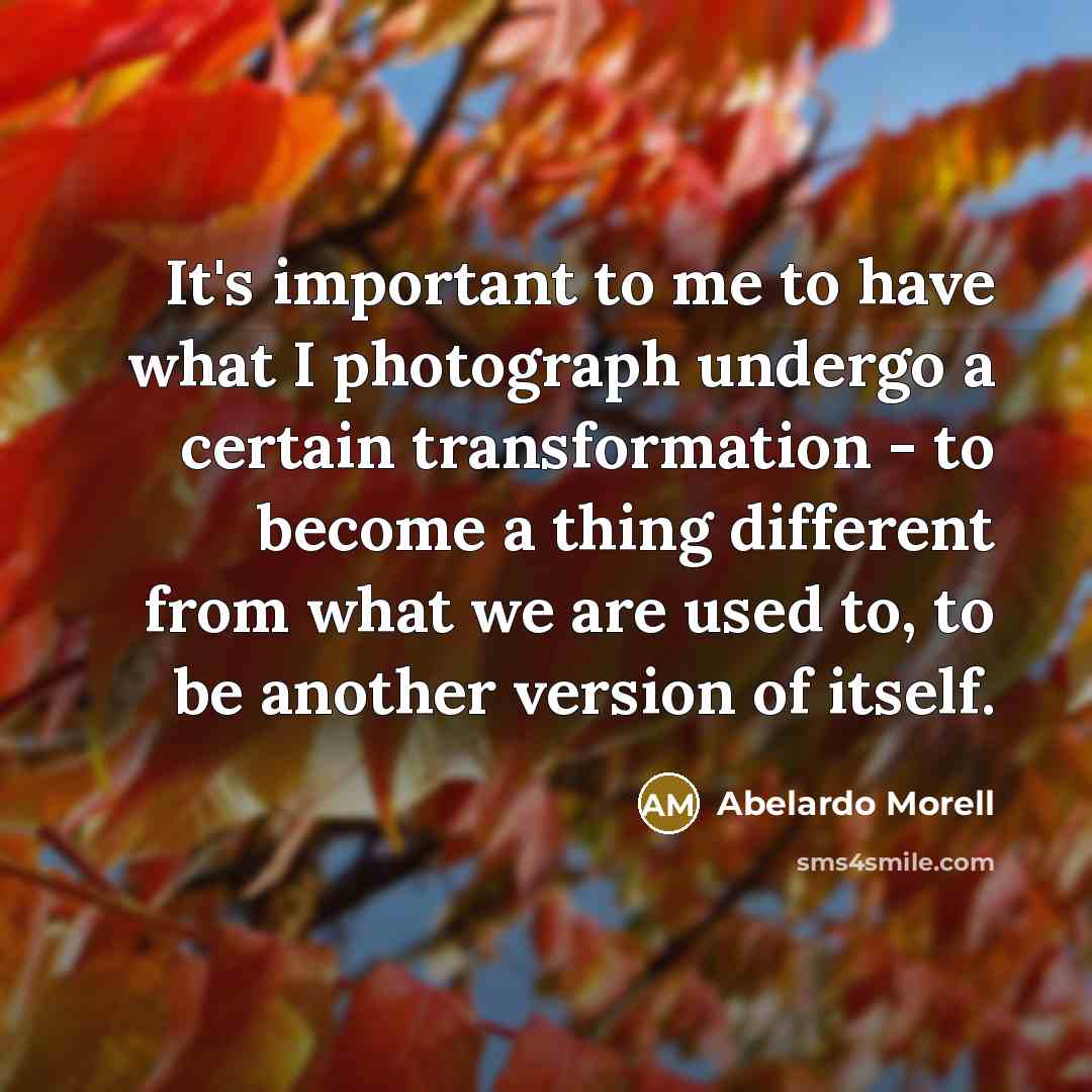 “It's important to me to have what I photograph undergo…” quote by Abelardo Morell