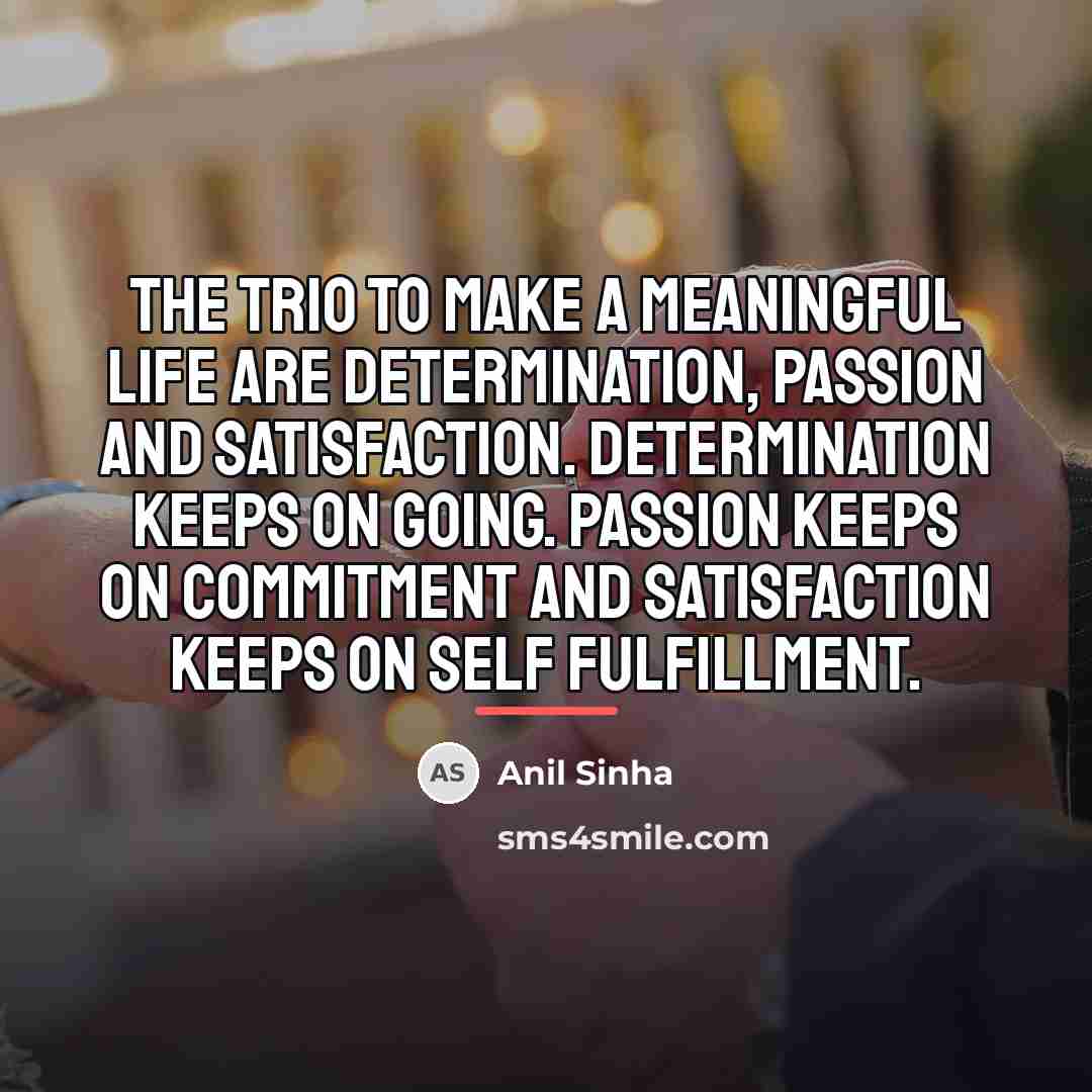 “The Trio to make a meaningful life are determination, passion…” quote by Anil Sinha