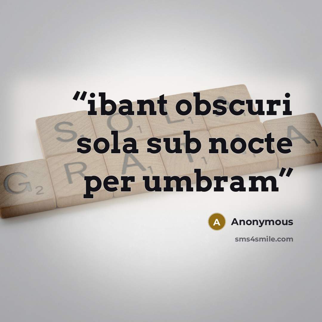 “ibant obscuri sola sub nocte per umbram” quote by Anonymous