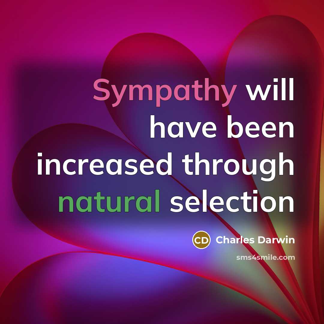 “Sympathy will have been increased through natural selection” quote by Charles Darwin