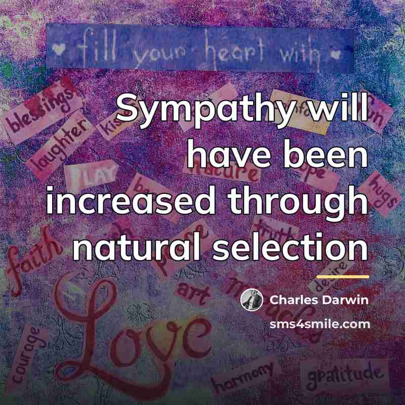 “Sympathy will have been increased through natural selection…” quote by Charles Darwin