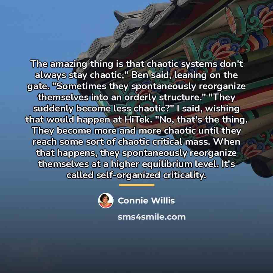 “The amazing thing is that chaotic systems don't always stay…” quote by Connie Willis