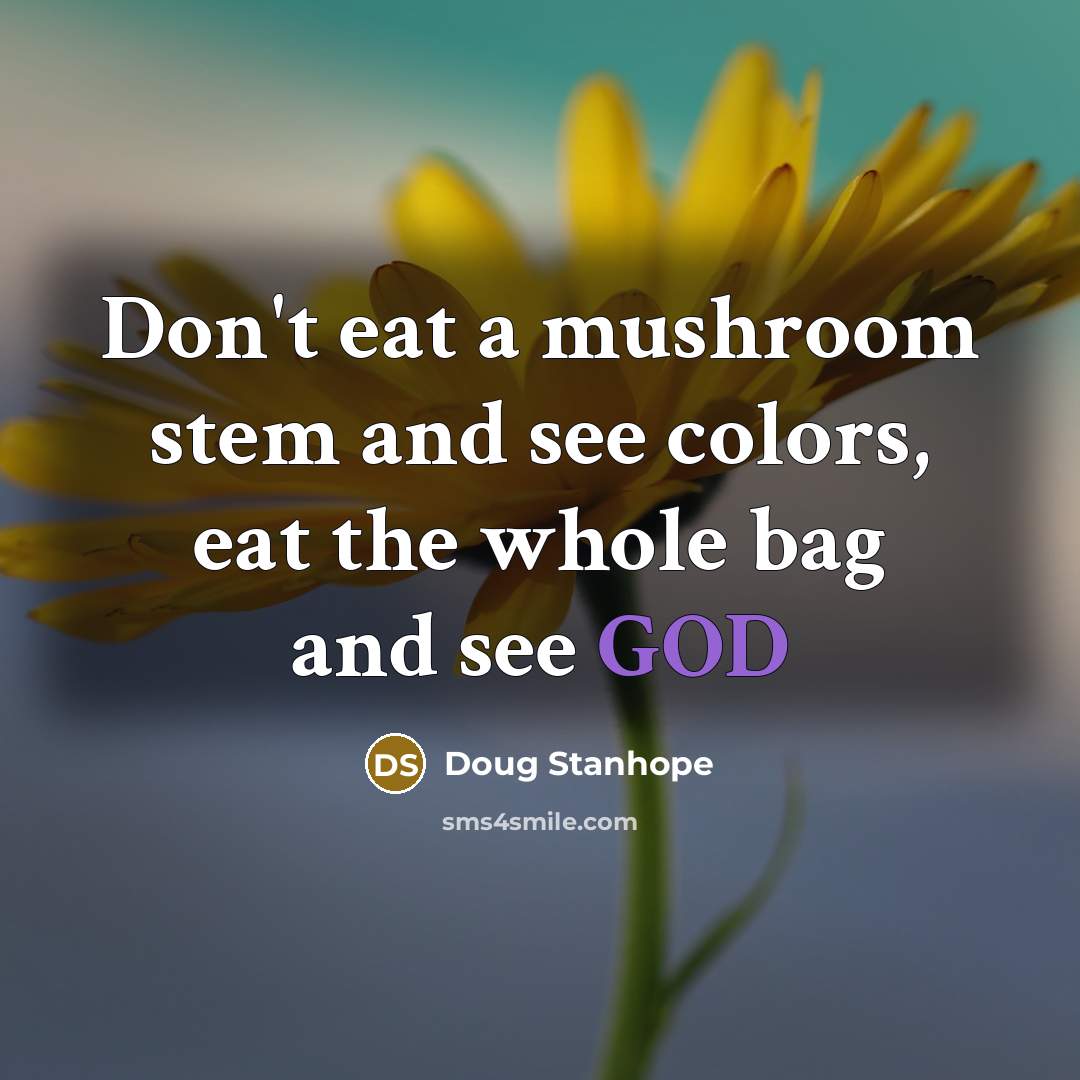 “Don't eat a mushroom stem and see colors, eat the…” quote by Doug Stanhope