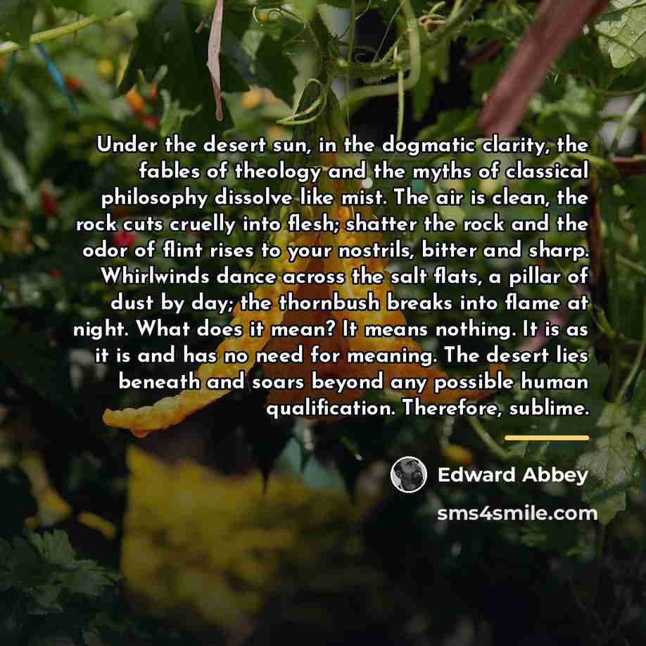 “Under the desert sun, in the dogmatic clarity, the fables…” quote by Edward Abbey