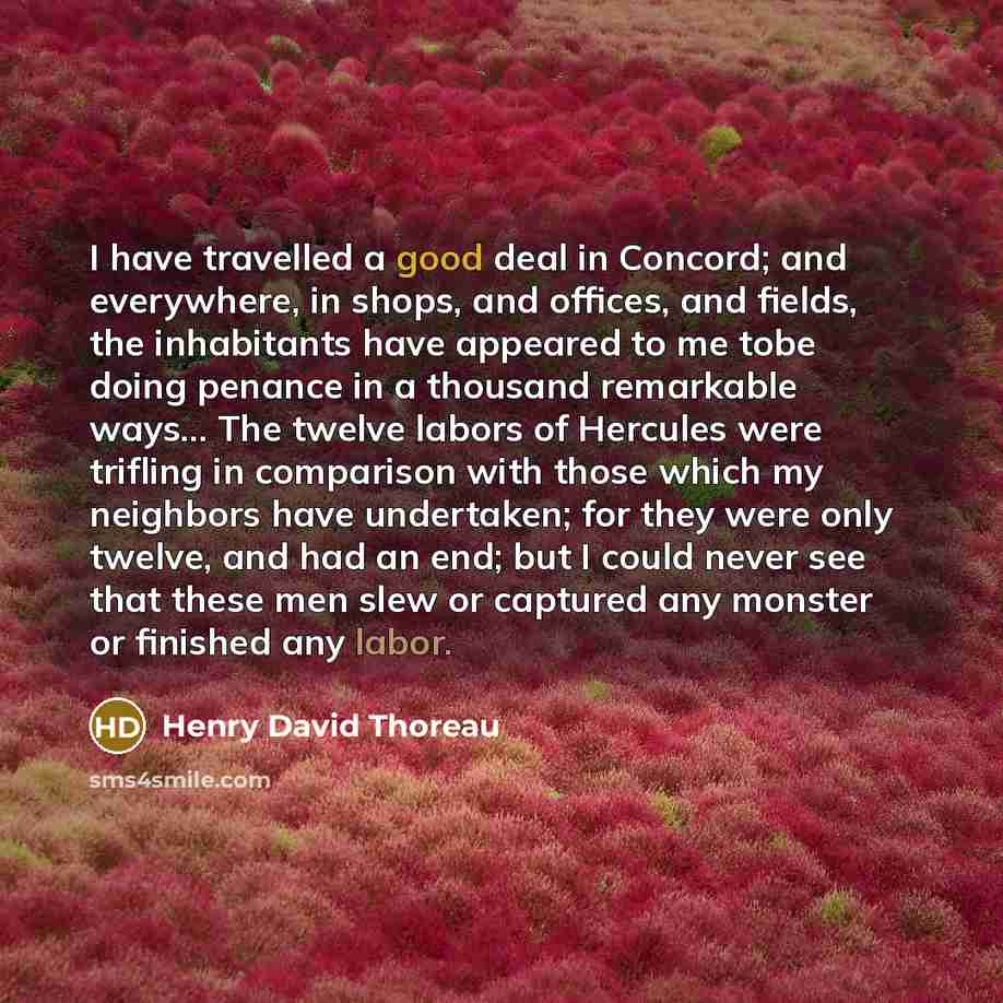 “I have travelled a good deal in Concord; and everywhere,…” quote by Henry David Thoreau