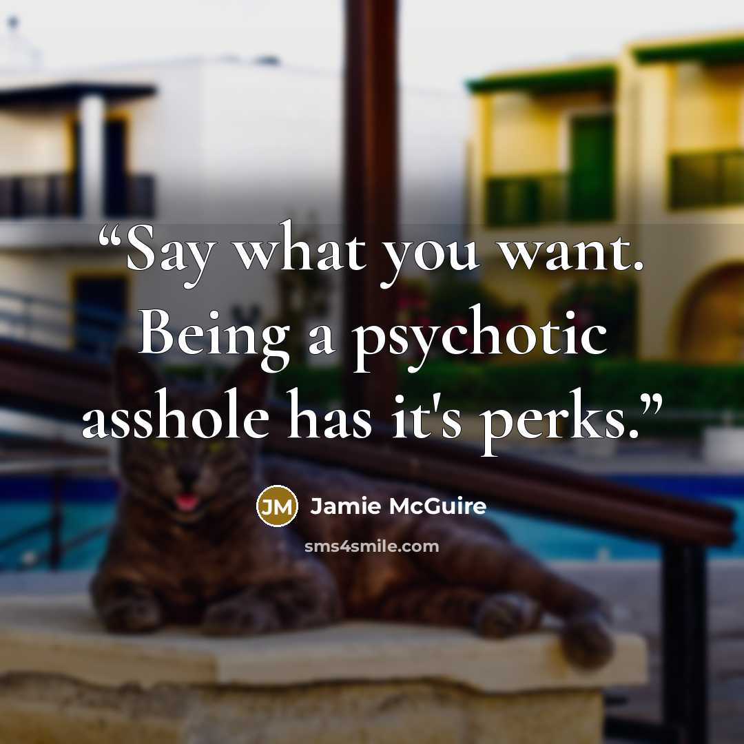 “Say what you want. Being a psychotic asshole has it's perks.” quote by Jamie McGuire