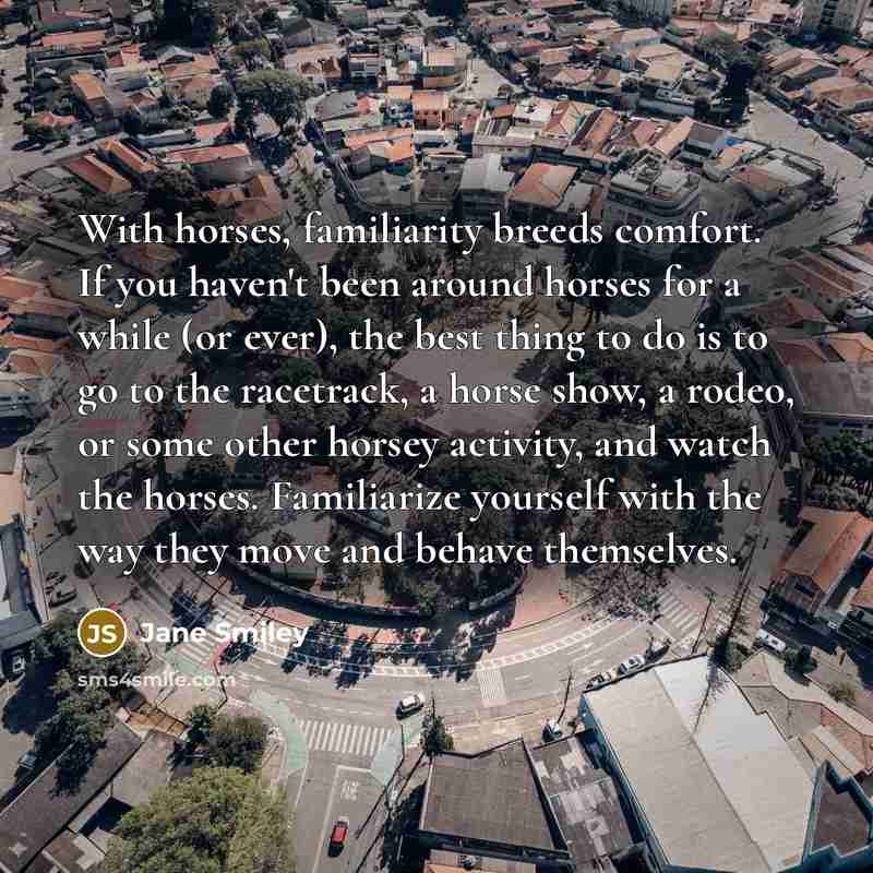 “With horses, familiarity breeds comfort. If you haven't been around…” quote by Jane Smiley