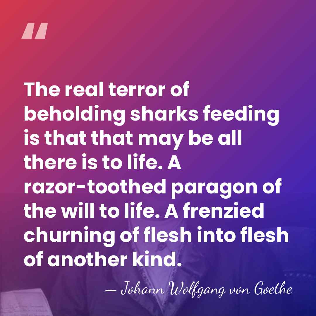 The real terror of beholding sharks feeding is that that may be&hellip; - Johann Wolfgang Von Goethe