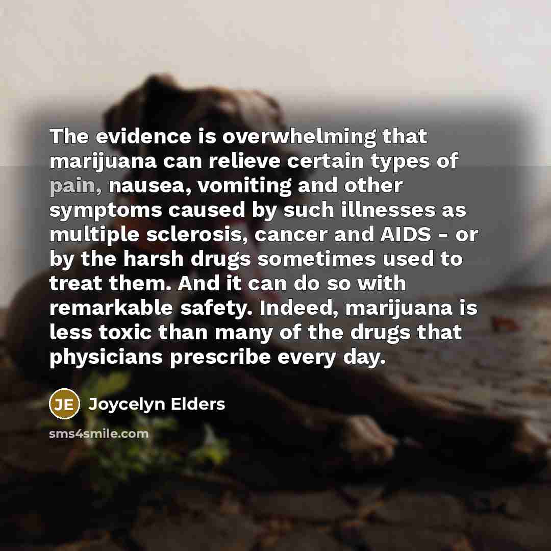 “The evidence is overwhelming that marijuana can relieve certain types…” quote by Joycelyn Elders