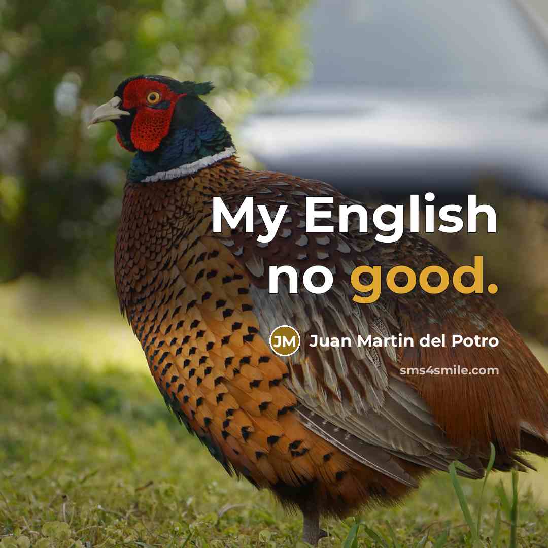 “My English no good.…” quote by Juan Martin del Potro