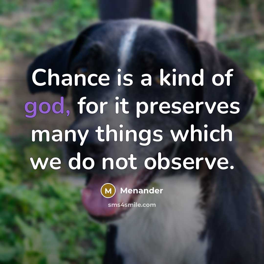 “Chance is a kind of god, for it preserves many…” quote by Menander