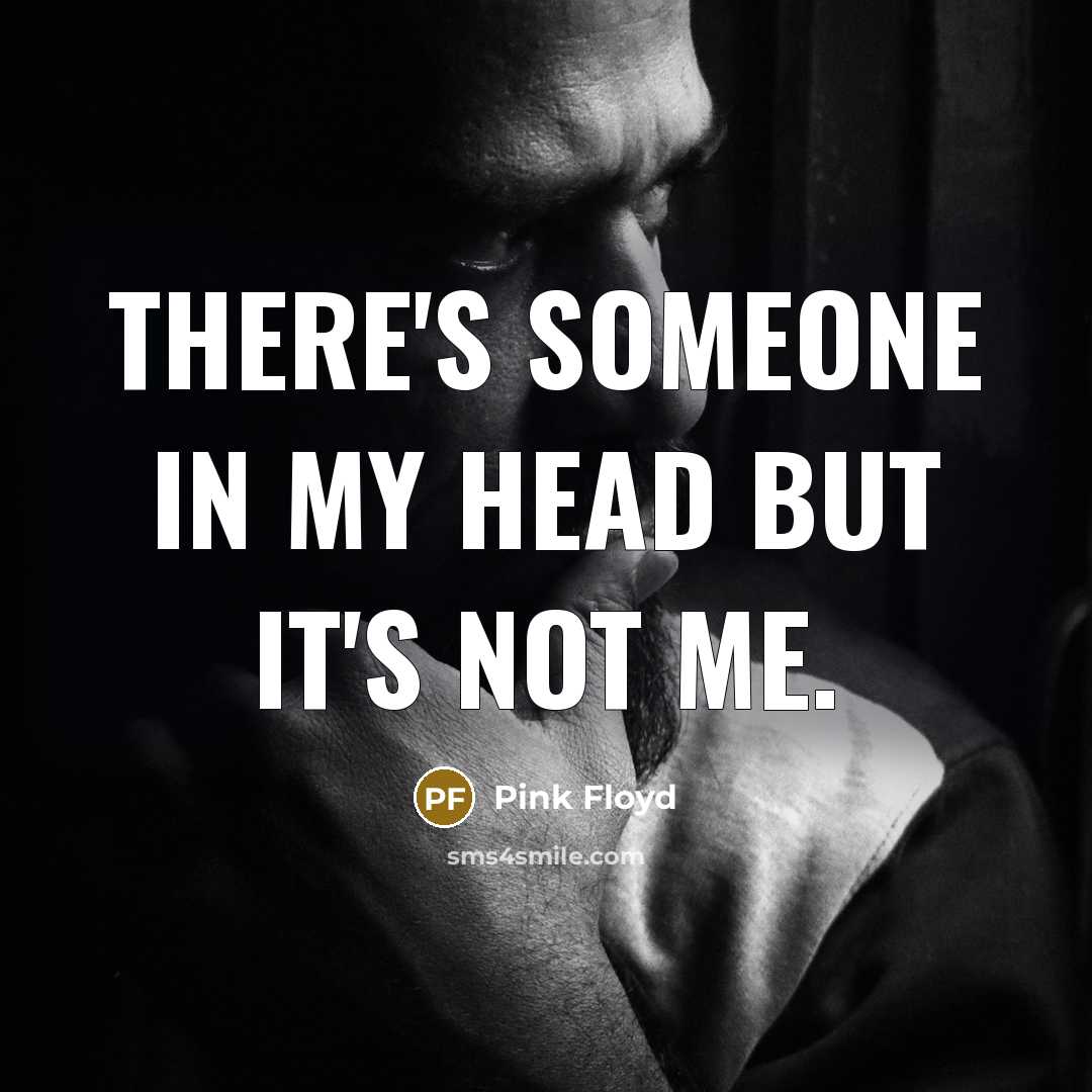 “There's someone in my head but it's not me.” quote by Pink Floyd