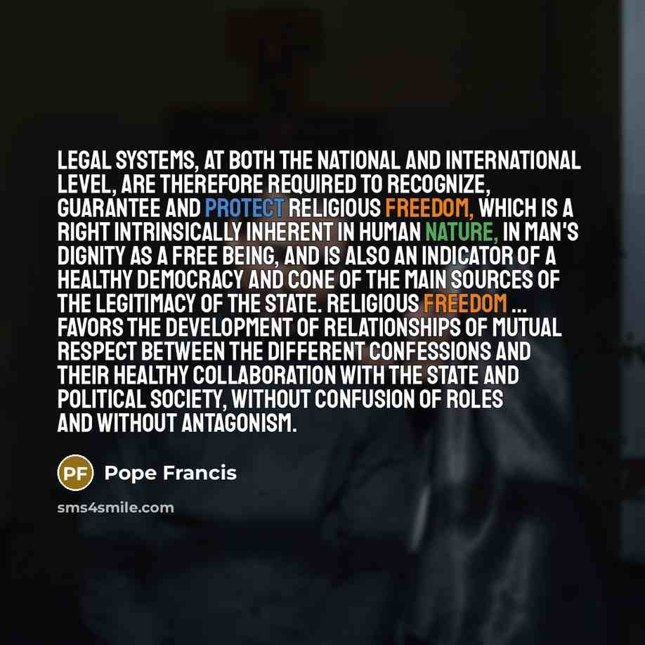 “Legal systems, at both the national and international level, are…” quote by Pope Francis