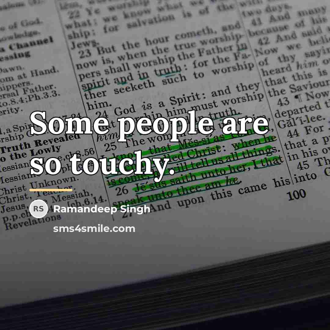 “Some people are so touchy.…” quote by Ramandeep Singh
