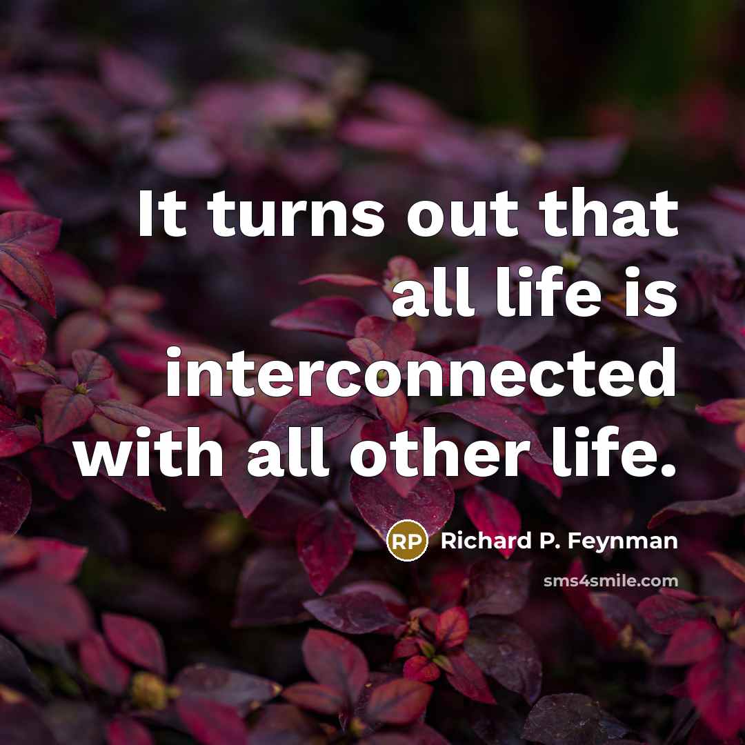 “It turns out that all life is interconnected with all…” quote by Richard P. Feynman