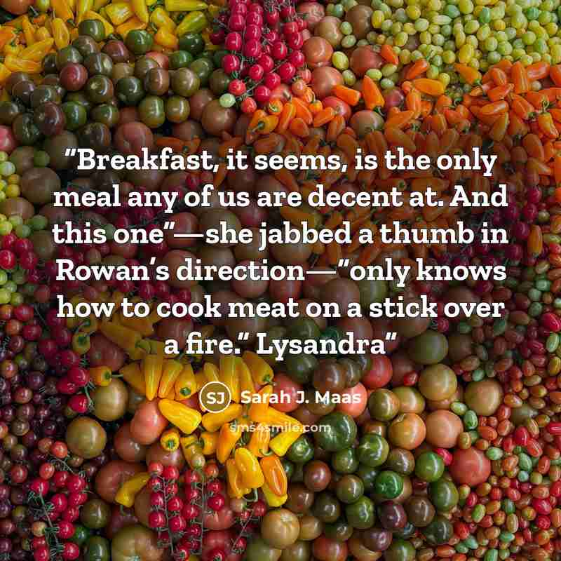 “Breakfast, it seems, is the only meal any of us are decent at. And this one”—she jabbed a thumb in Rowan’s direction—“only knows how to cook meat on a stick over a fire.” Lysandra” quote by Sarah J. Maas