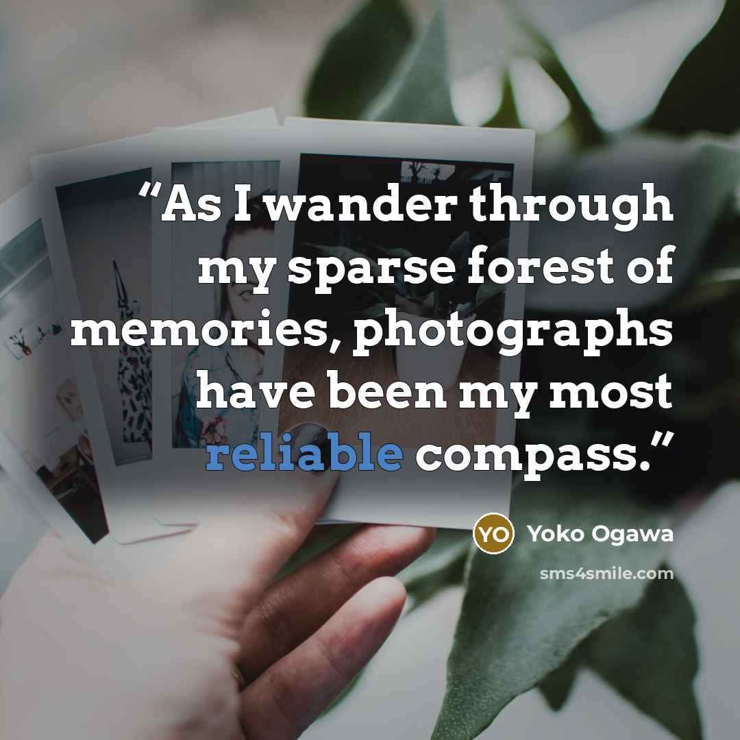 “As I wander through my sparse forest of memories, photographs have been my most reliable compass.” quote by Yōko Ogawa