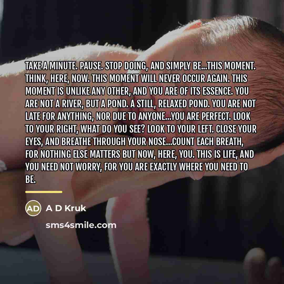 “Take a minute. Pause. Stop doing, and simply be...This moment.…” quote by A D Kruk