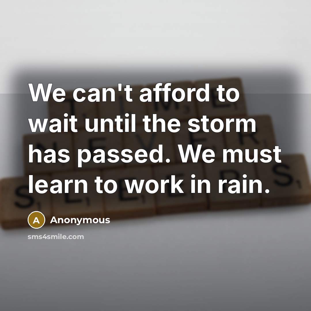 “We can't afford to wait until the storm has passed.…” quote by Anonymous