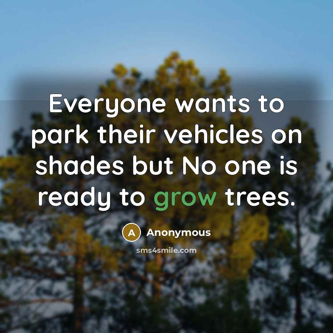 “Everyone wants to park their vehicles on shades but No one is ready to grow trees.” quote by Anonymous
